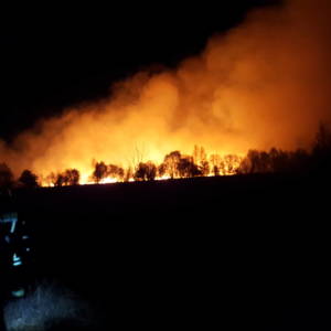 Moorbrand bei Nacht in Steinfeld