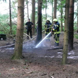 Waldbrand am Rande von Wohnsiedlung