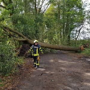 Orkantief Xavier sorgt für Dauereinsätze der Feuerwehren in Lohne