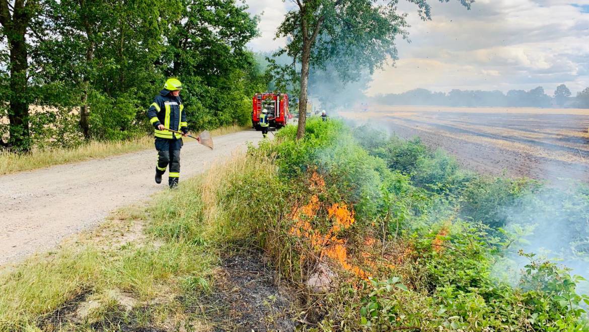 Größerer Flächenbrand entlang der Autobahn