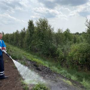 Böschungsbrand im Brägeler Moor