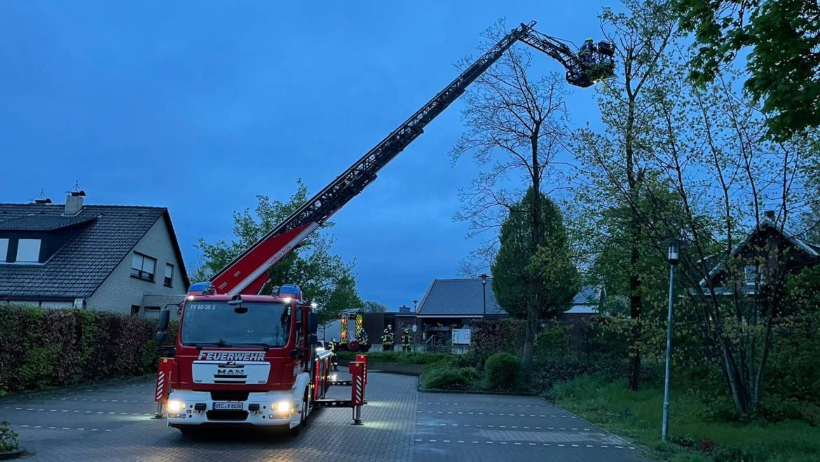 Baumkrone droht abzubrechen