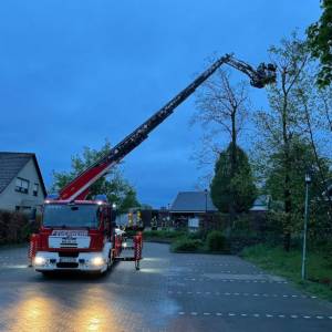 Baumkrone droht abzubrechen