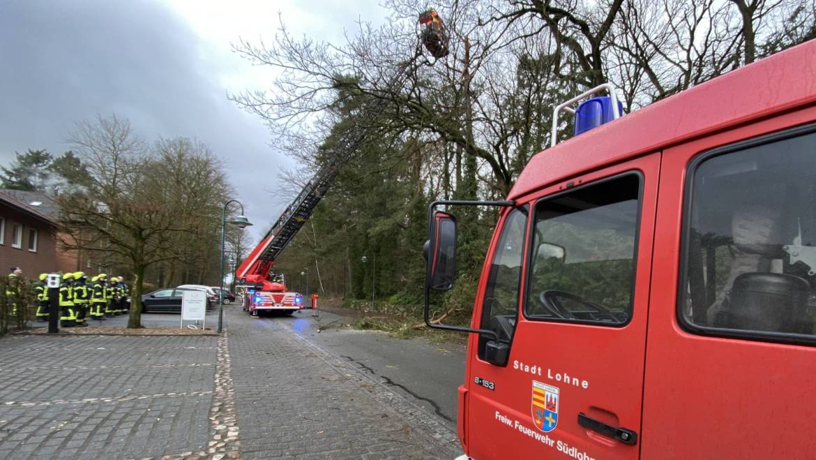 Sturmschaden: Baumkrone droht auf die Fahrbahn zufallen