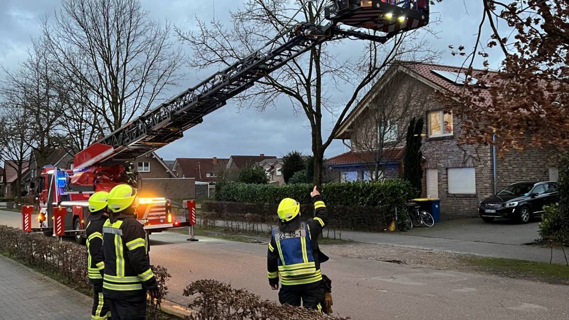 Sturmschaden: Ast droht aus Krone zu brechen