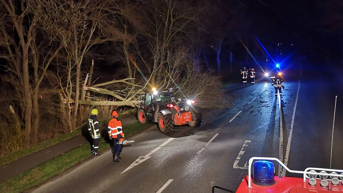 Sturmschaden: Baum auf Fahrbahn