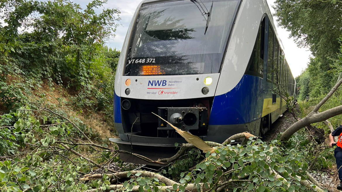 Baum auf Bahngleis