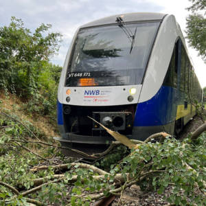 Baum auf Bahngleis