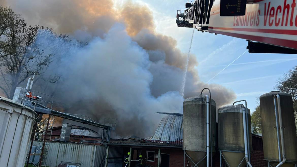 Brand im Schweinestall