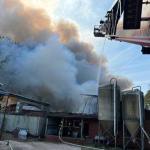 Brand im Schweinestall