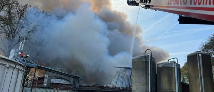 Brand im Schweinestall