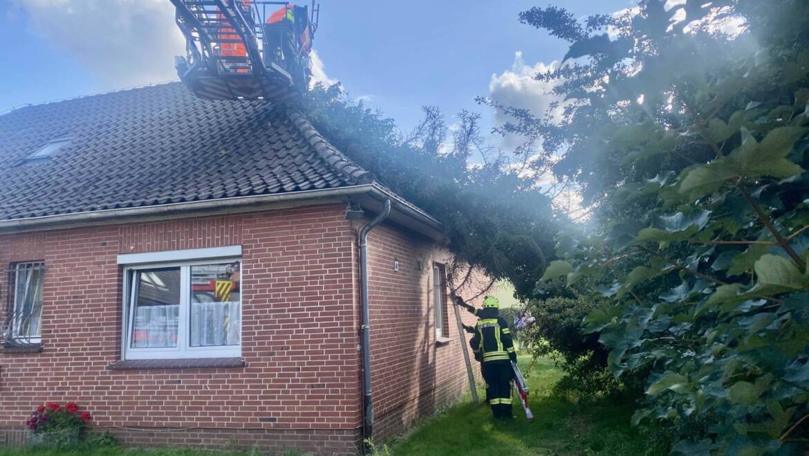 Baum auf Wohnhaus