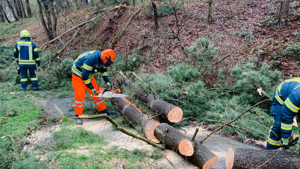 Umgestürzter Baum auf Fahrbahn