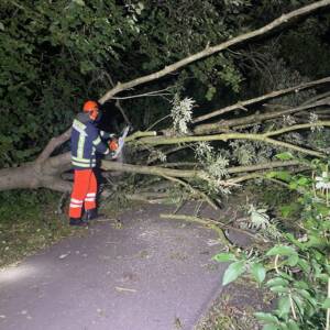 Sturmschaden: Baum auf Radweg