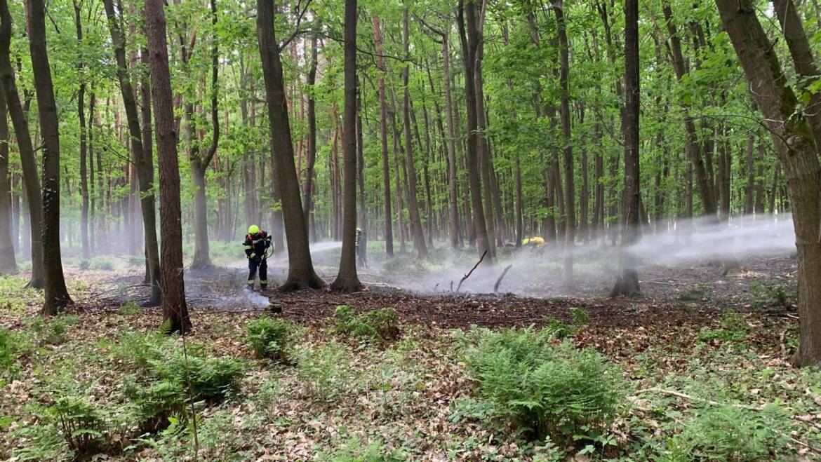 Waldbrand