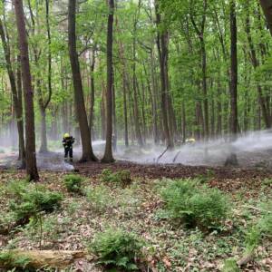 Waldbrand