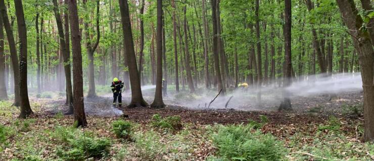 Waldbrand