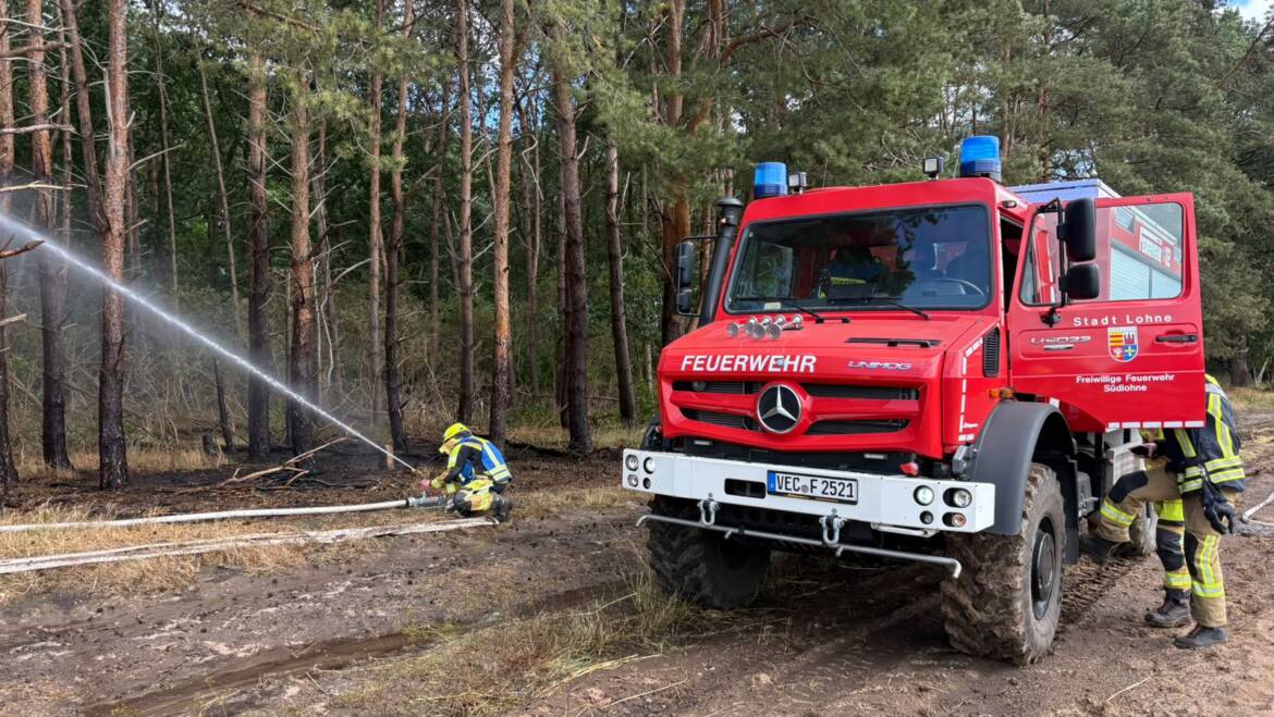 Flächenbrand droht auf Wald überzugreifen