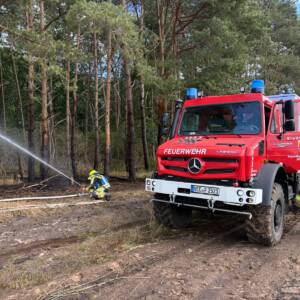 Flächenbrand droht auf Wald überzugreifen